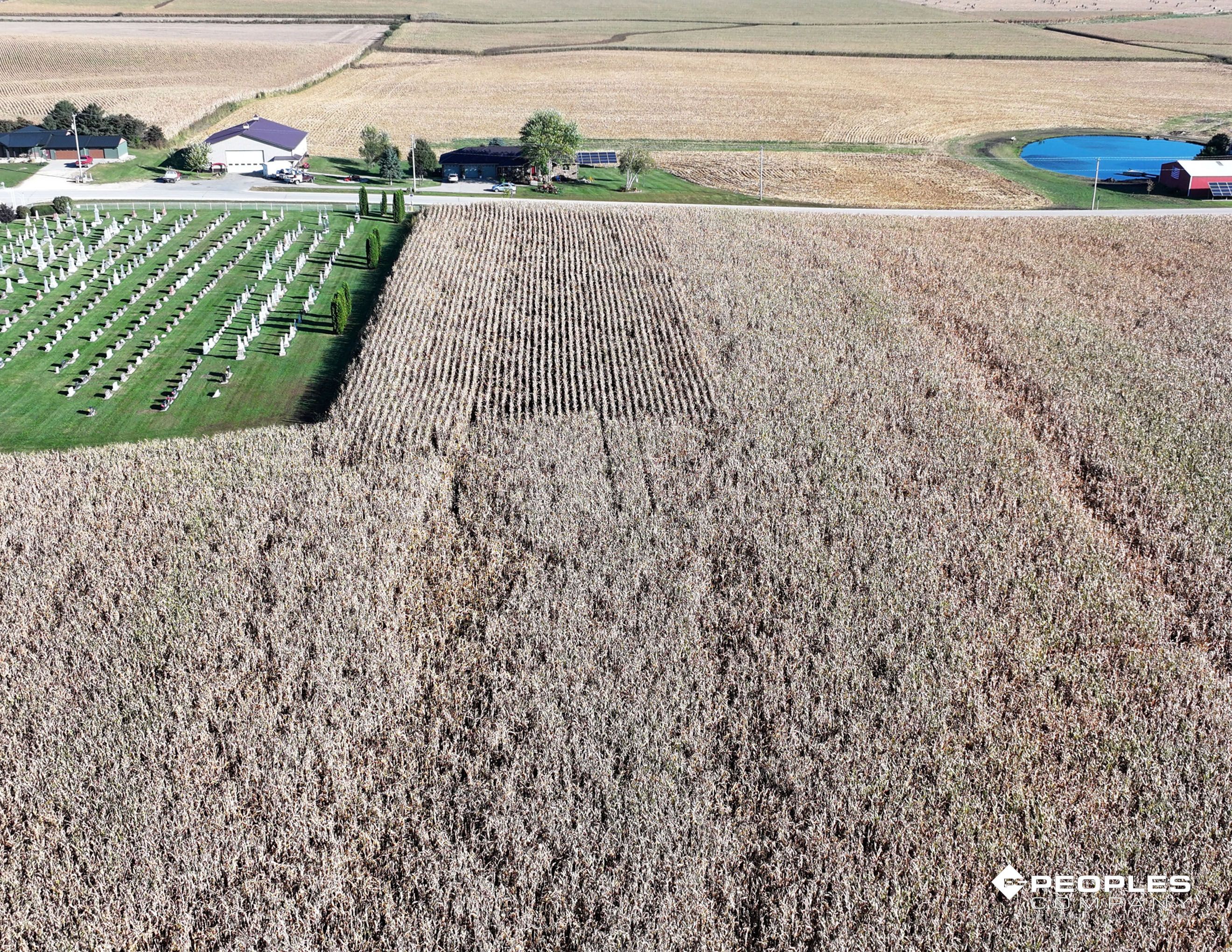 Listing Photo: Web 4